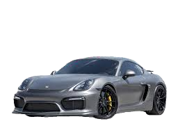 Cayman GT4-1  2016 >> 2016
