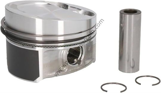 95510303101 PİSTON SEGMAN SETİ  3.2 V6 CAYENNE 2003 >> 2006