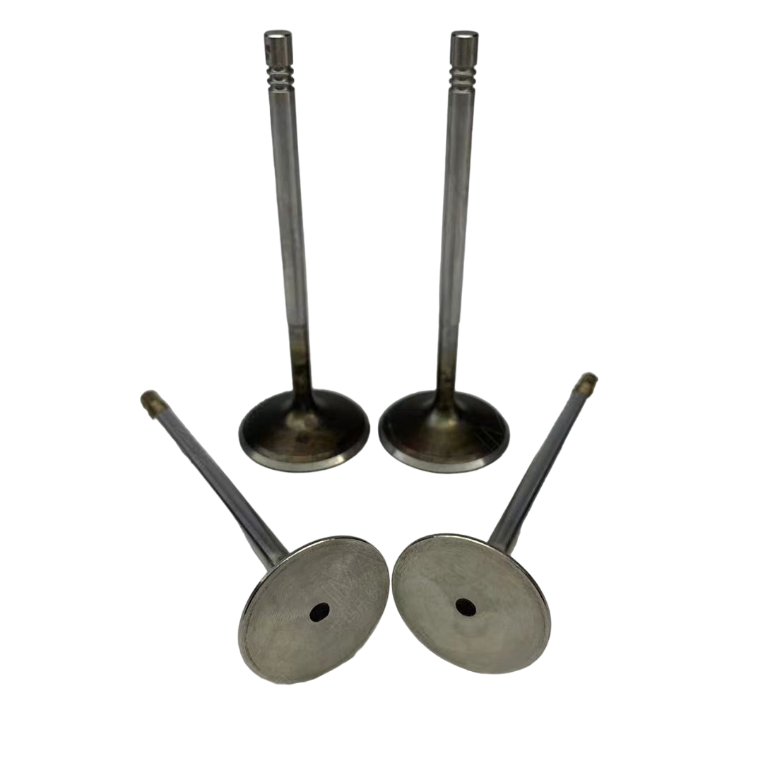 94810532202 EGZOZ SUPABI  3.6 - 4.8 BENZİNLİ MOTOR