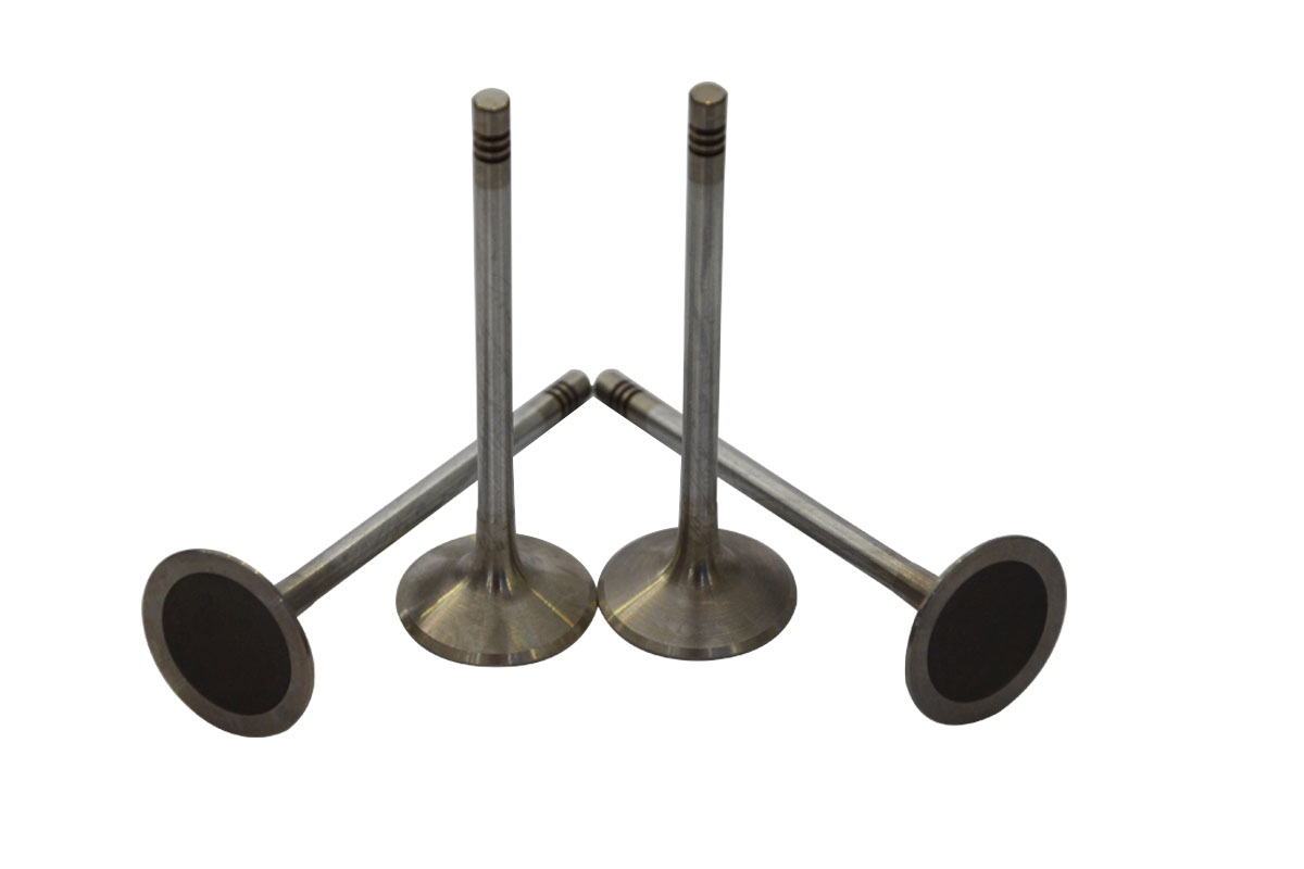 94810532102 EMME SUPABI  3.6 - 4.8 BENZİNLİ MOTOR